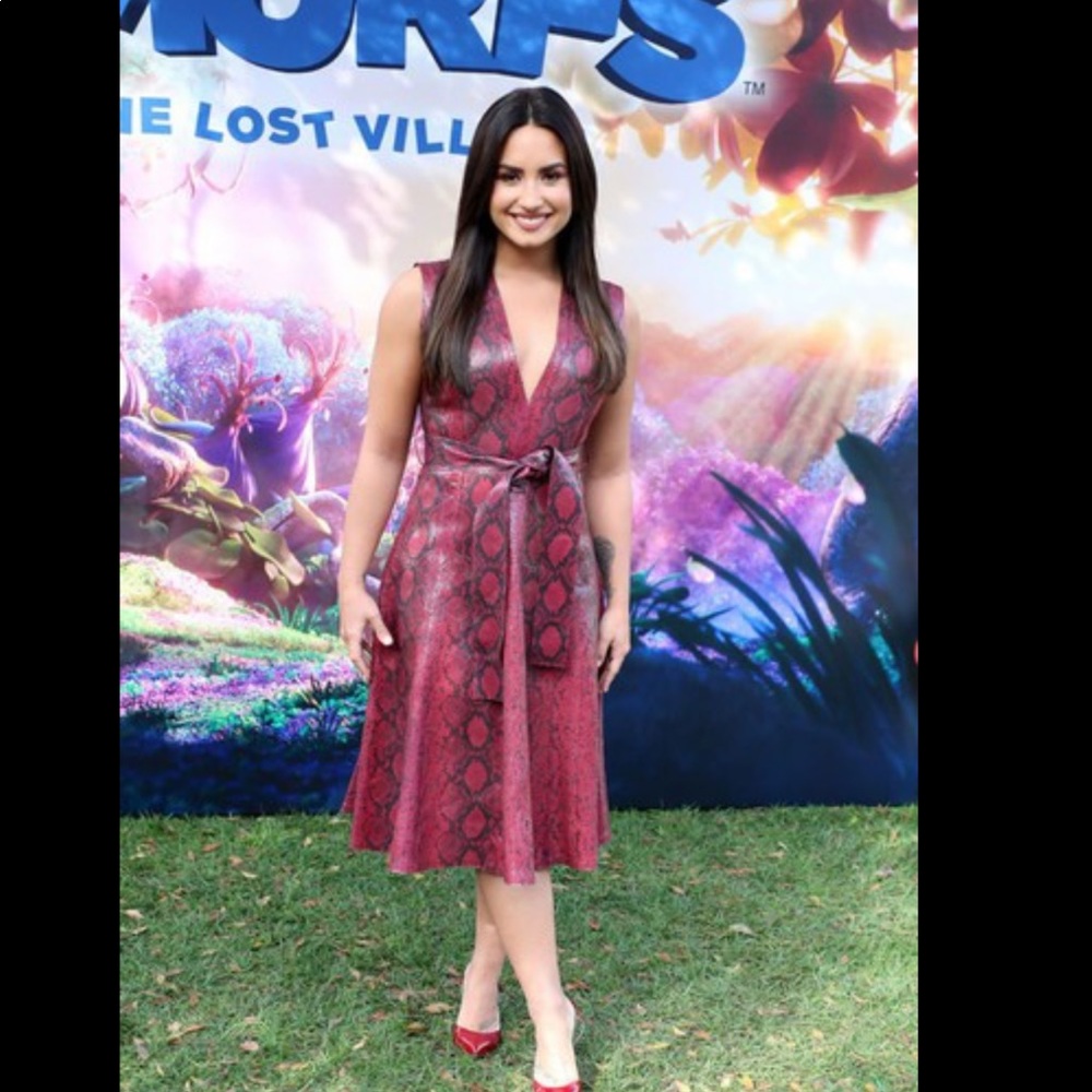 DEMI LOVATO’s Authentic Alexander McQueen Dress